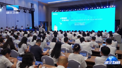 2025年“湖北人才周”活动启动