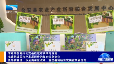 李殿勋在荆州公安县松滋市调研
