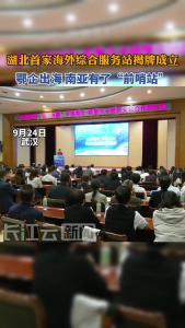 湖北首家海外综合服务站揭牌成立 鄂企出海南亚有了“前哨站”