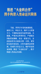 习近平：让“大金砖合作”基础更牢、动能更足、影响更大
