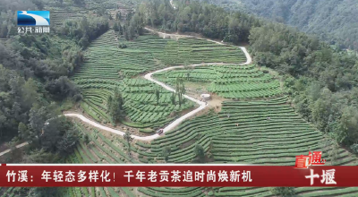 竹溪：年轻态多样化！千年老贡茶追时尚焕新机