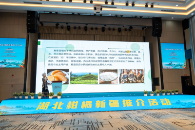 湖北柑橘新疆推介活动在霍尔果斯口岸成功举办