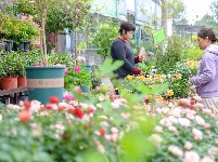 图集丨长湖花木大世界：浪漫秋色 花卉飘香