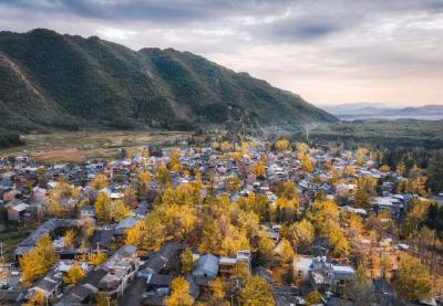 全国银杏观赏地图来了 为你解锁十大观赏地限定秋色