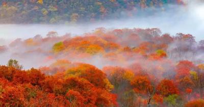 云端锐评丨谁说湖北没有秋天？湖北的秋天在调色盘里