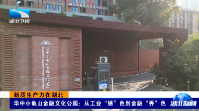 新质生产力在湖北丨华中小龟山金融文化公园：从工业 “锈” 色到金融 “秀” 色