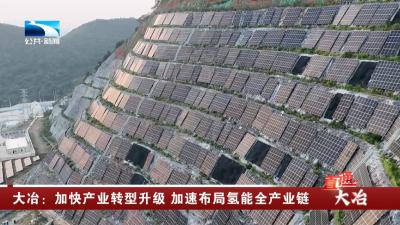 大冶：加快产业转型升级 加速布局氢能全产业链