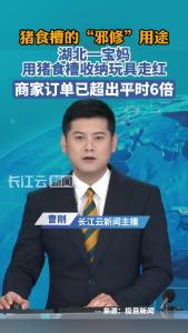 宝妈用猪食槽收纳玩具视频走红，商家订单超出平时6倍