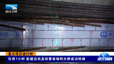 重大项目进行时 | 仅用1小时 新建合武高铁曹家坳特大桥成功转体
