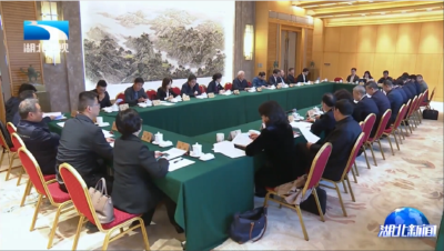 全国政协“完善人工智能科技创新体系” 调研座谈会在汉召开