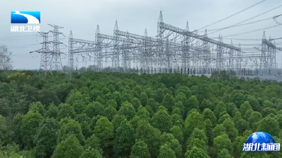 牢记嘱托 建成支点丨湖北首创“电-碳-金融”三市场协同 绿证交易量激增33倍