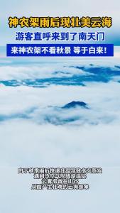 神农架雨后现壮美云海