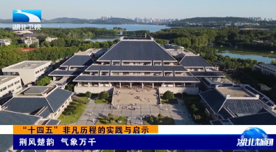 “十四五”非凡历程的实践与启示 | 荆风楚韵 气象万千