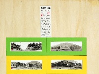 【绘画作品展】第二十届湖北省中老年人才艺大赛绘画类特邀作品展