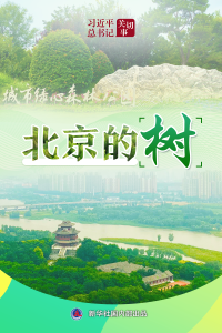 习近平总书记关切事｜北京的树
