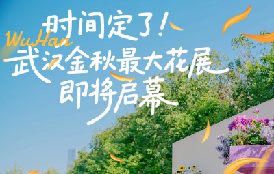 时间定了！武汉金秋菊展即将开幕