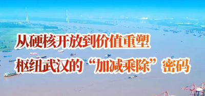 从硬核开放到价值重塑，枢纽武汉的“加减乘除”密码