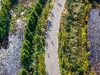 图集 | 荆州长湖湿地秋日养护 碧水彩林相映如画
