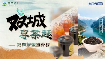 双城寻茶趣丨“中国红”邂逅“法国红”，尽展茶香交融
