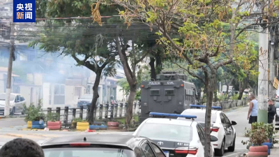 巴西里约警方剿匪行动共打死117名嫌疑人