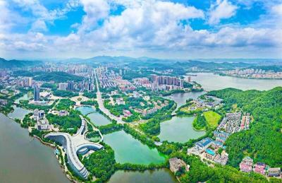 民企赋能增长极 楚商聚力建支点民企赋能增长极 楚商聚力建支点