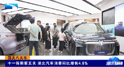国庆八天乐 | 十一假期前五天 湖北汽车消费同比增长4.6%