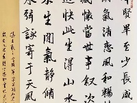 【书法作品展】第二十届湖北省中老年人才艺大赛书法类特邀作品展