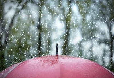 最低4℃！8级大风！大雨！冷空气携风雨抵达湖北