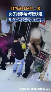 男孩取快递时，竟遭泰迪犬“突袭”！