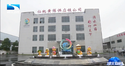 孙伟在仙桃调研时强调 当好县域经济高质量发展排头兵