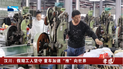汉川：假期工人坚守 童车加速“推”向世界