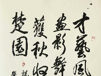 【书法作品展】第二十届湖北省中老年人才艺大赛书法类特邀作品展