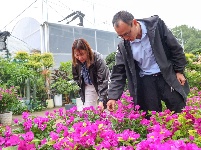 图集丨长湖花木大世界：浪漫秋色 花卉飘香