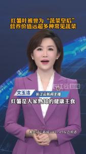红薯叶被誉为“蔬菜皇后”，营养价值远超多种常见蔬菜