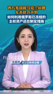 西方多国就乌克兰问题发表声明