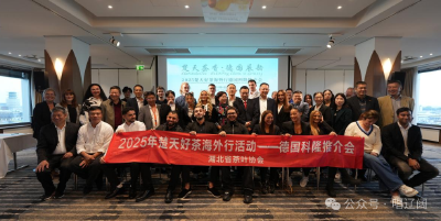 从湖北到德国！13家楚天好茶企业抱团出海 