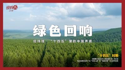 经纬线·绿色回响