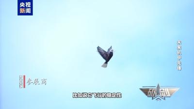 隐蔽性极强！未来战场看“鸟群”出击