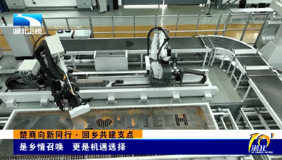 楚商向新同行·回乡共建支点 | 是乡情召唤 更是机遇选择