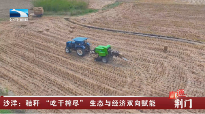 荆门沙洋：秸秆 “吃干榨尽”  生态与经济双向赋能