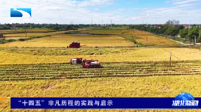 “十四五”非凡历程的实践与启示丨打造新时代“鱼米之乡”