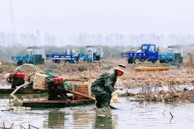 “藕”遇洪湖，誉满天下！