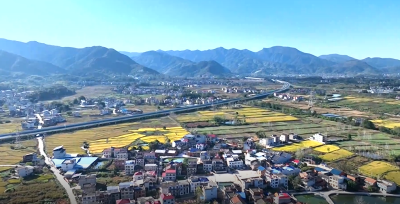 黄石阳新 ：共谋共建共管共享 织就美丽乡村新图景
