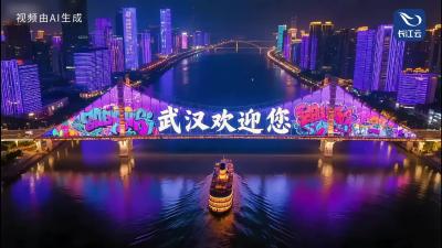 斑马哥哥与蒜鸟妹妹的武汉夜游记