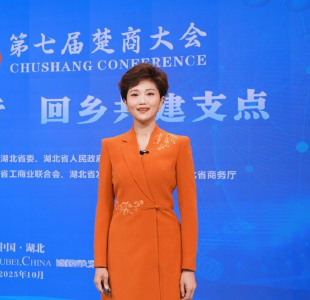这，就是楚商回乡的底气！
