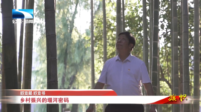 好支部 好支书∣乡村振兴的堰河密码