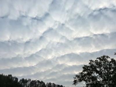 湖北气温重回20℃+ 明起自西向东雨水返场