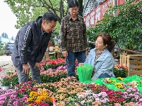 图集丨长湖花木大世界：浪漫秋色 花卉飘香
