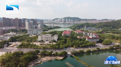 楚商向新同行·回乡共建支点 | 18个签约项目总金额331.3亿元