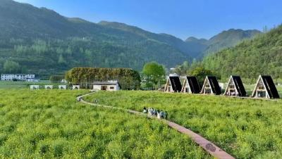 回家吧！回到最初的美好